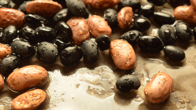 soaked black and pinto beans