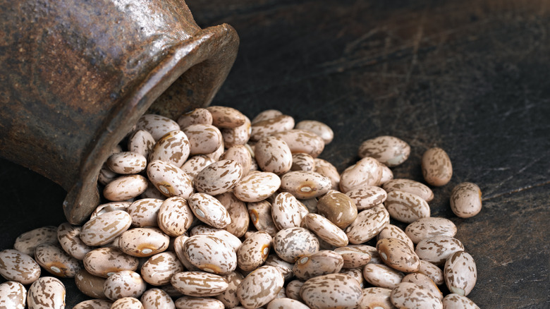 dried pinto beans