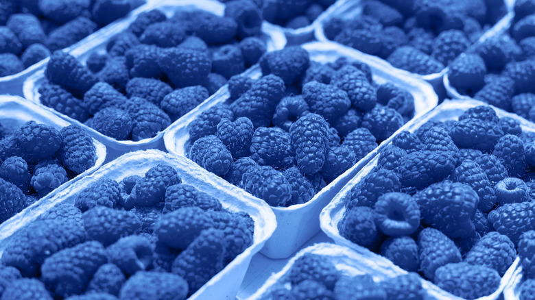 cartons of 'blue' raspberries