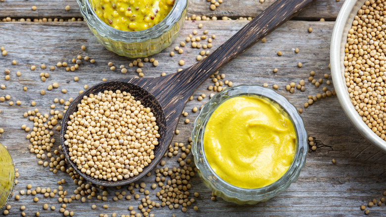 overhead shot of smooth and grainy mustards and seeds