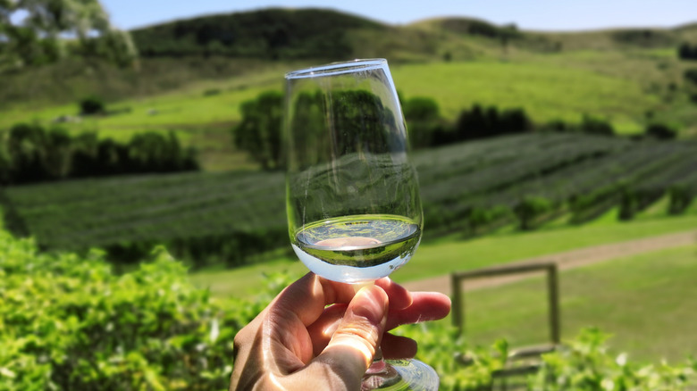 White wine and a vineyard in New Zealand.
