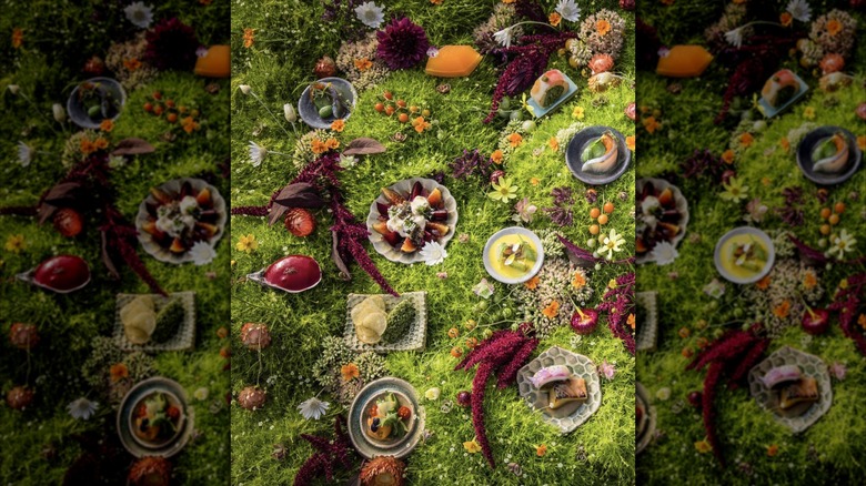Various dishes from SingleThread pictured in nature, emphasizing a farm-to-table philosophy.