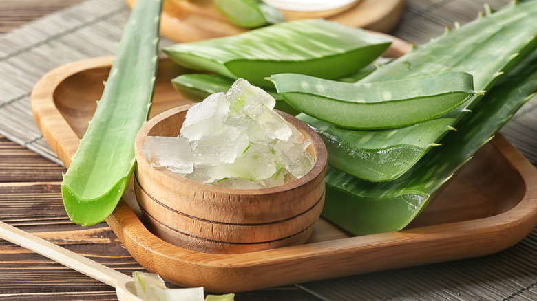 Cubes of aloe very gel next to leaves