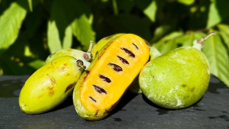 A pawpaw split in half, showing flesh and seeds, surrounded by uncut pawpaws