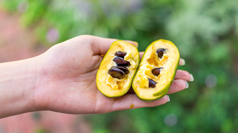 A pawpaw split in half, showing flesh and seeds