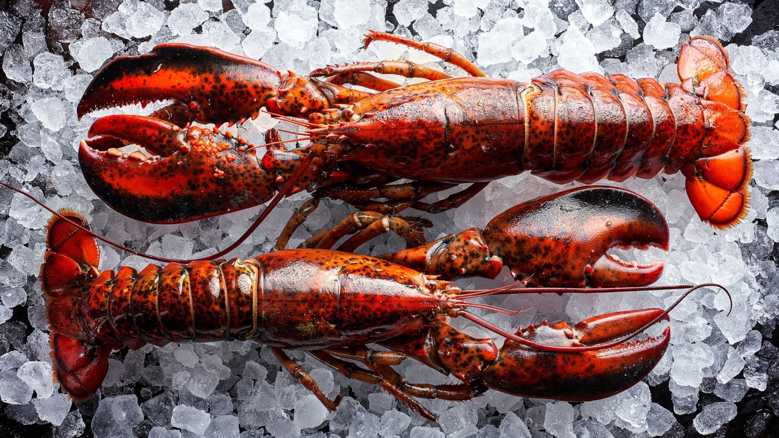 <a href="https://www.foodrepublic.com/1754393/cook-frozen-lobster-tails/" target="_blank">Can You Cook Lobster Tails From Frozen?</a>