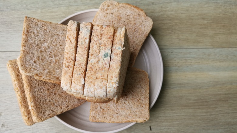 Moldy bread on pink plate