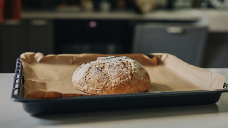Loaf of bread baked on parchment paper lined baking sheet