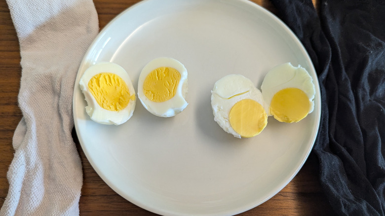 Cross sections of failed attempts at scrambling eggs in their shells using socks and stockings.