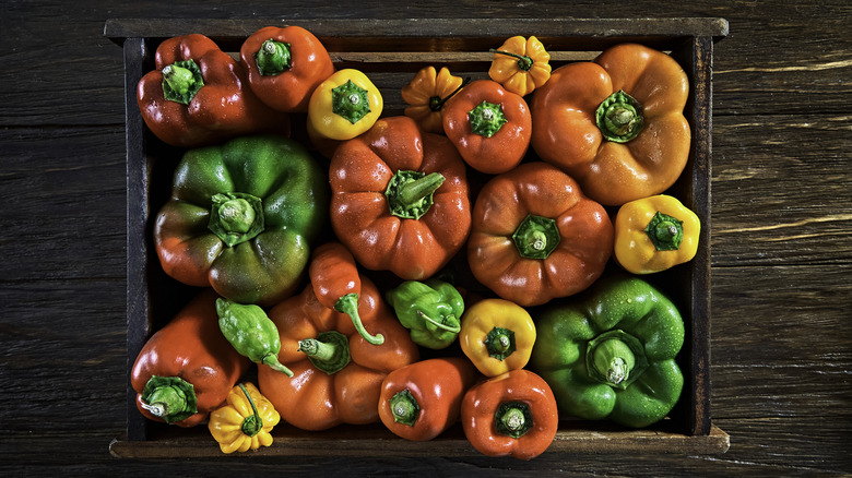 Colorful array of peppers in a wooden box