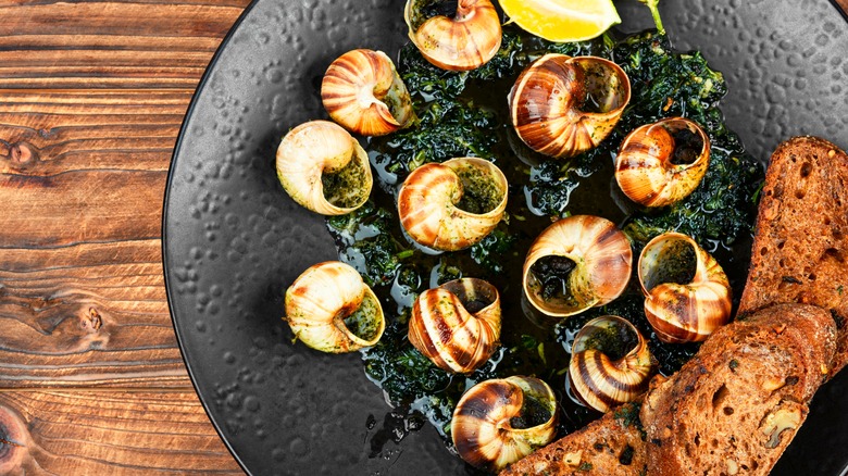 escargot on a plate with bread