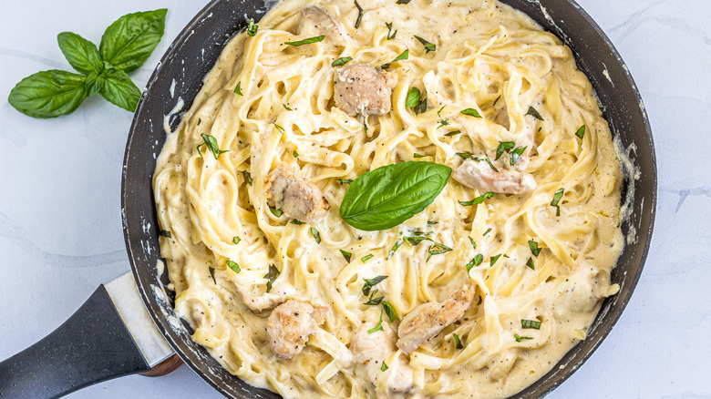 creamy pasta in Alfredo sauce