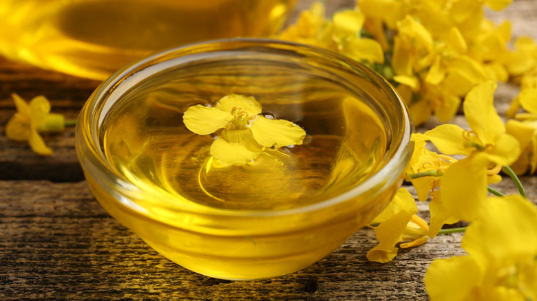 A bowl of canola oil sits surrounded by rapeseed flowers