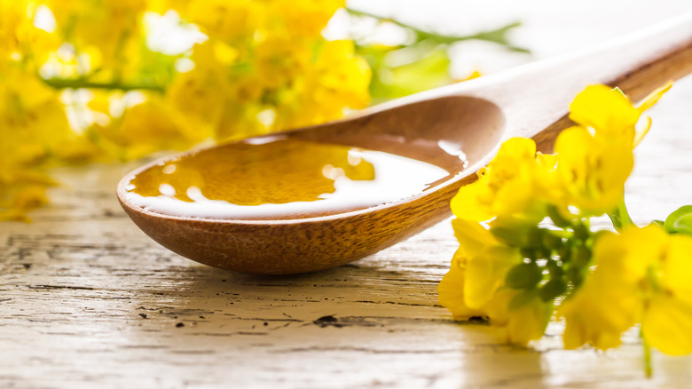 Spoonful of canola oil on wooden surface