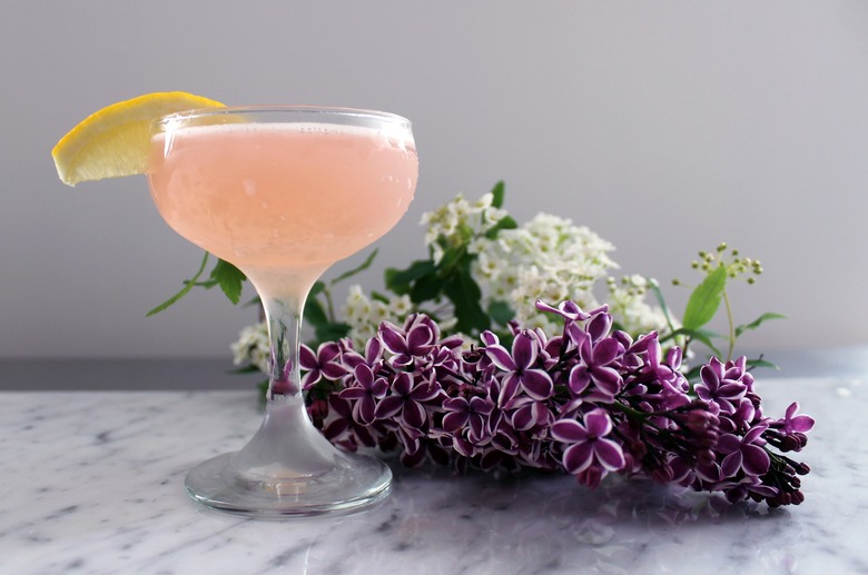 Cardamom Blush Cocktail Recipe