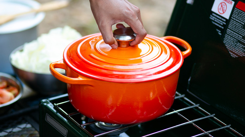 Enameled cast iron Dutch oven