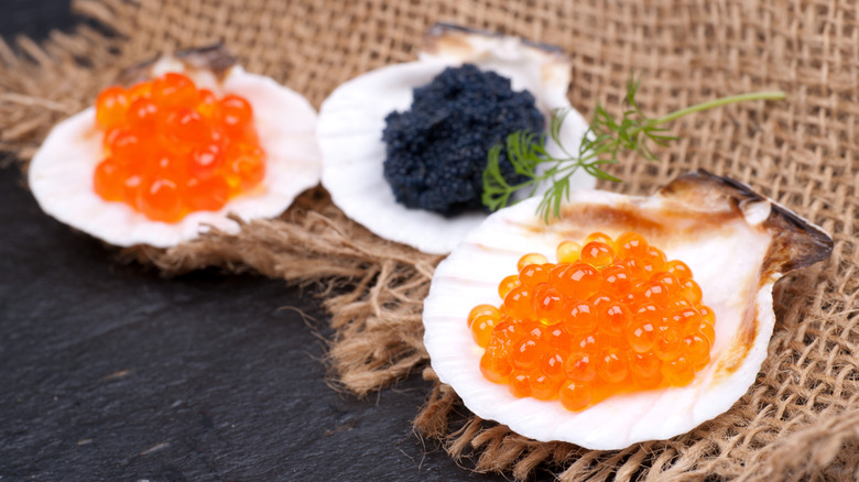 Different types of fish eggs on shells