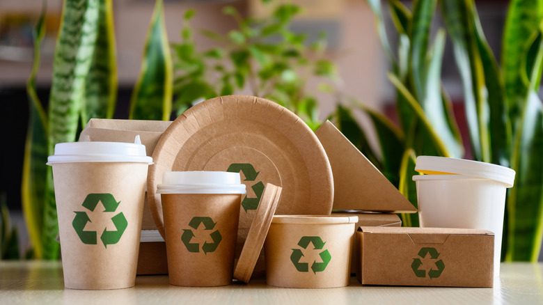 Biodegradable paper plates and cups with recycling logos