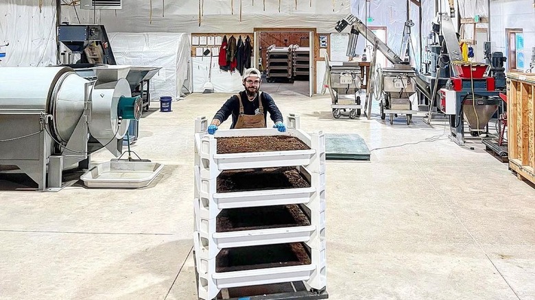 Person standing inside Chapul Farm's facility 