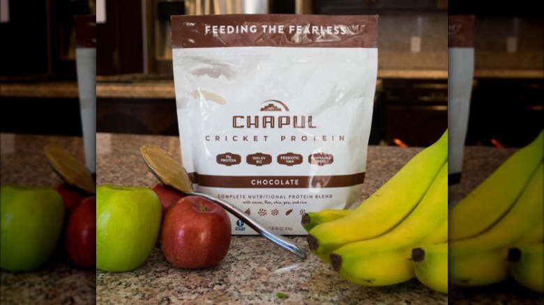Chapul's chocolate protein powder