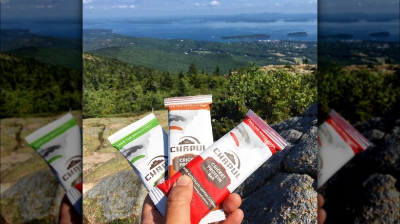 Chapul's protein bar