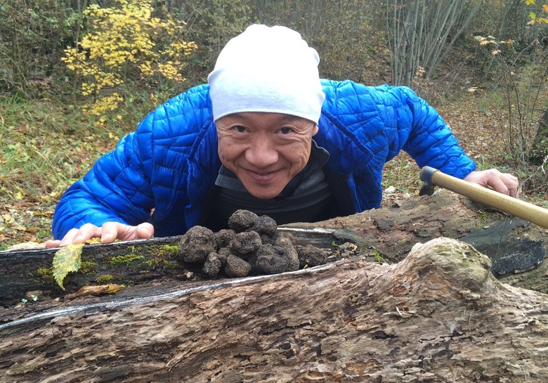 Truffle hunting