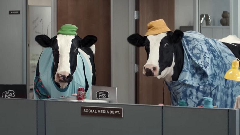 The Chick-fil-A cows are dressed in human clothes for a TV commercial