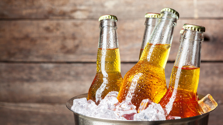 Beer bottles in a bucket of ice