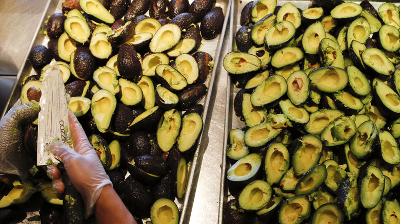 Cutting avocados at Chipotle 