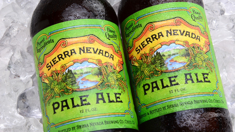 Bottles of Sierra Nevada Pale Ale on ice