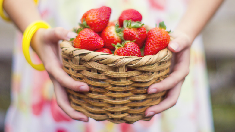 hands bolding basket full of strawberries