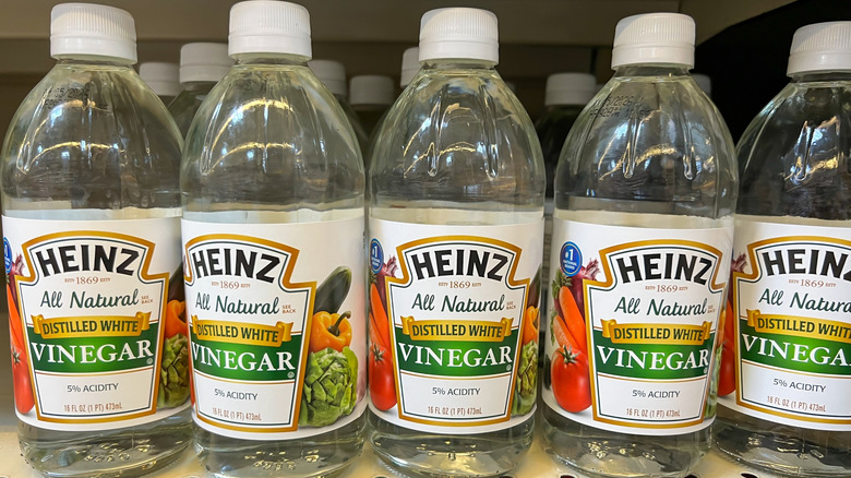Several bottles of Heinz distilled white vinegar.