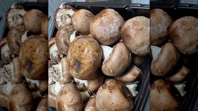 Spoiled Costco mushrooms.