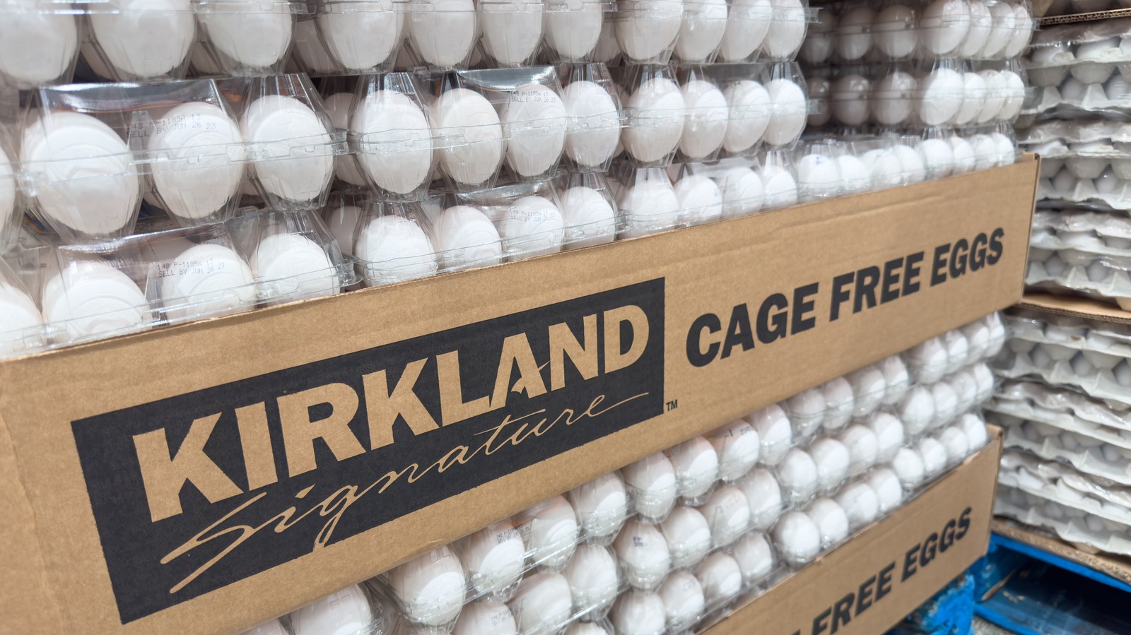 Costco Sells A Ridiculous Amount Of CageFree Eggs Each Year