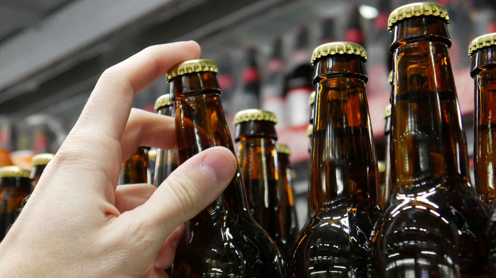 The Country That Exports The Most Beer In The World