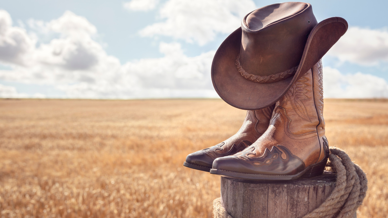 Cowboys Loved This Meaty Snack In The Old West