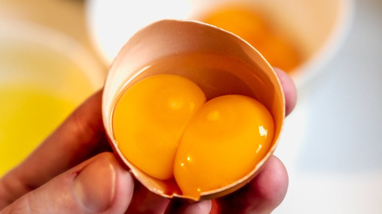 A hand holds up half a cracked egg shell, revealing two yolks within