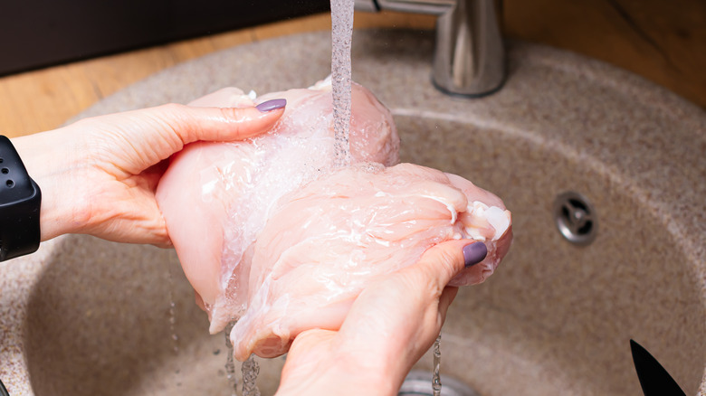 Woman washing chicken breasts in sink