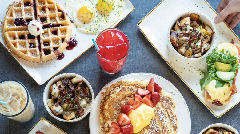 A variety of brunch items from First Watch.