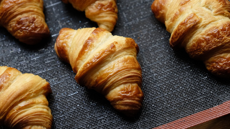 Butter Croissant Classic Recipe Definitive