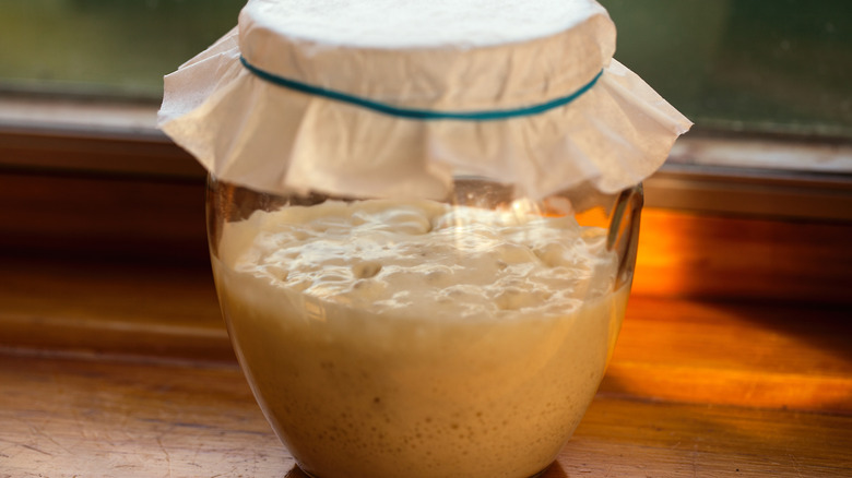 active sourdough starter