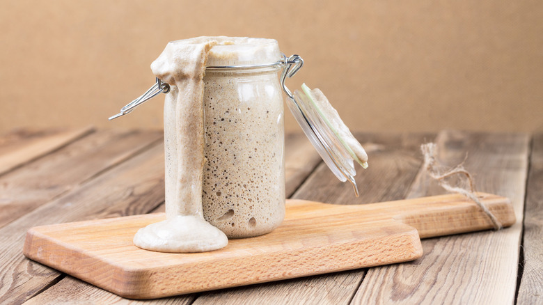 overflowing sourdough starter 