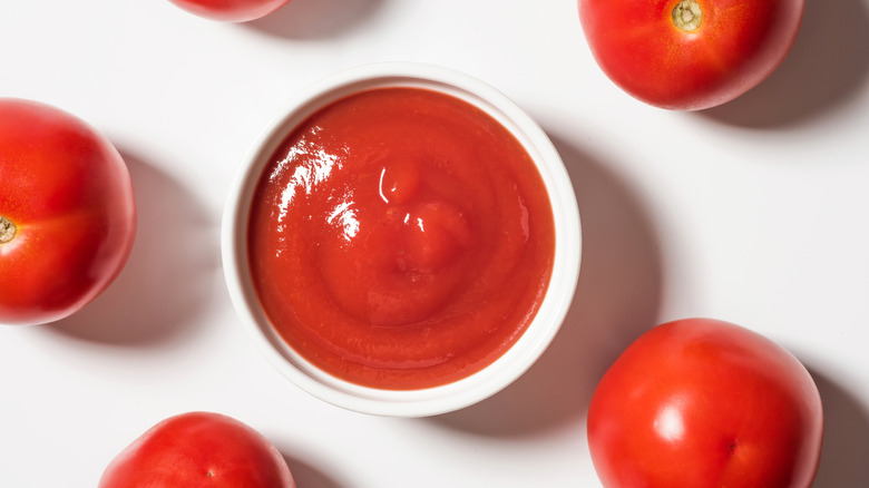 Bowl of ketchup surrounded by tomatoes