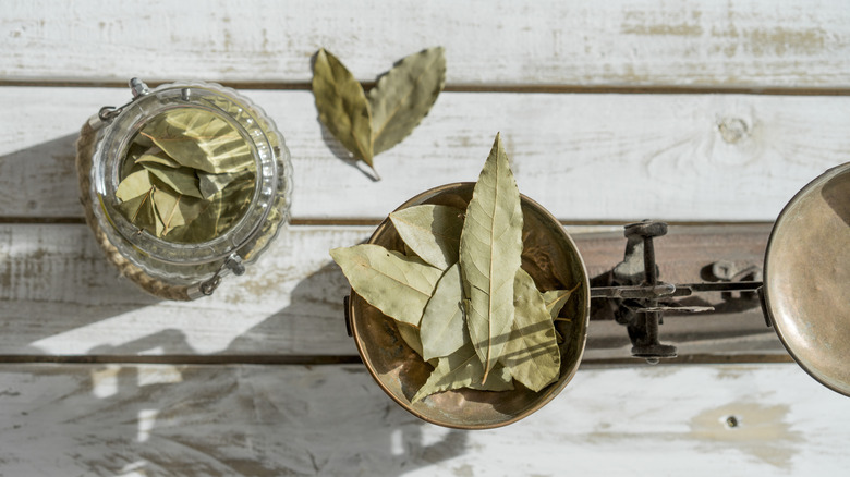 Dried bay leaves sit in a glass container next to more leaves on a scale