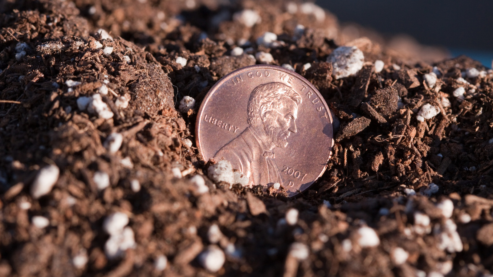 <a href="https://www.foodrepublic.com/2207229/pennies-help-vegetables-grow-tale/" target="_blank">Do Pennies Really Help Your Vegetables Grow?</a>
