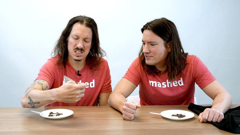 Mashed Bros bugs taste test