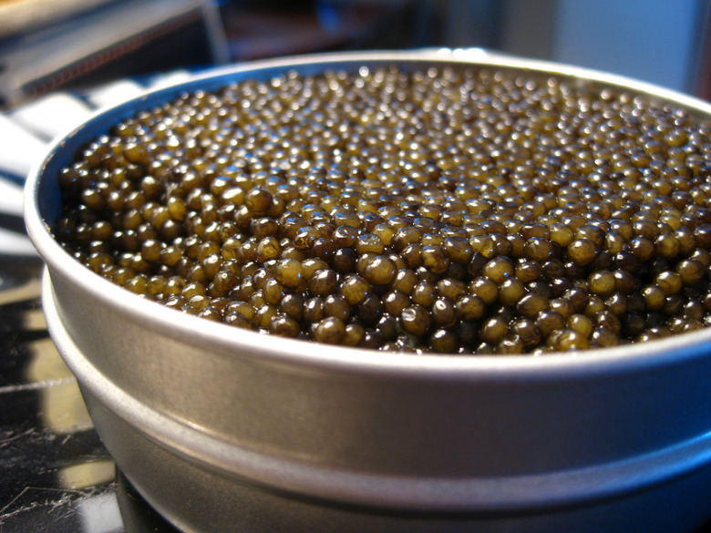 caviar