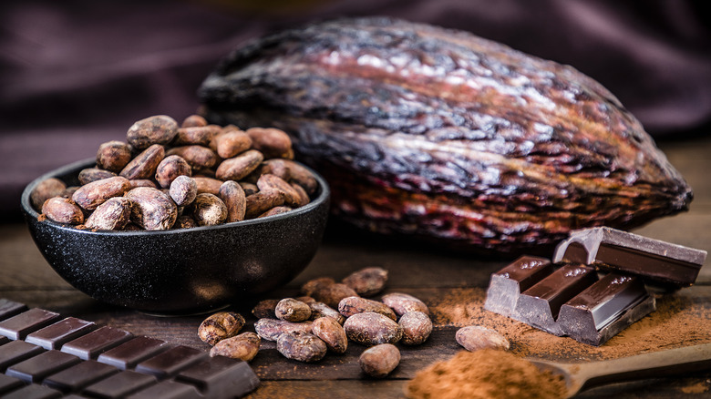 cacao fruit and cacao beans