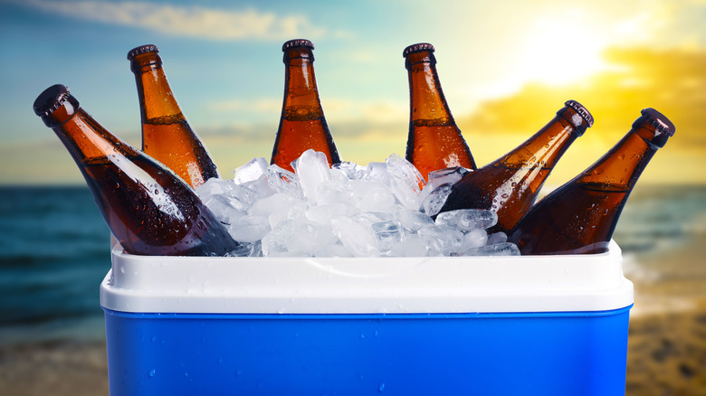 Beer bottles in a cooler on a beach