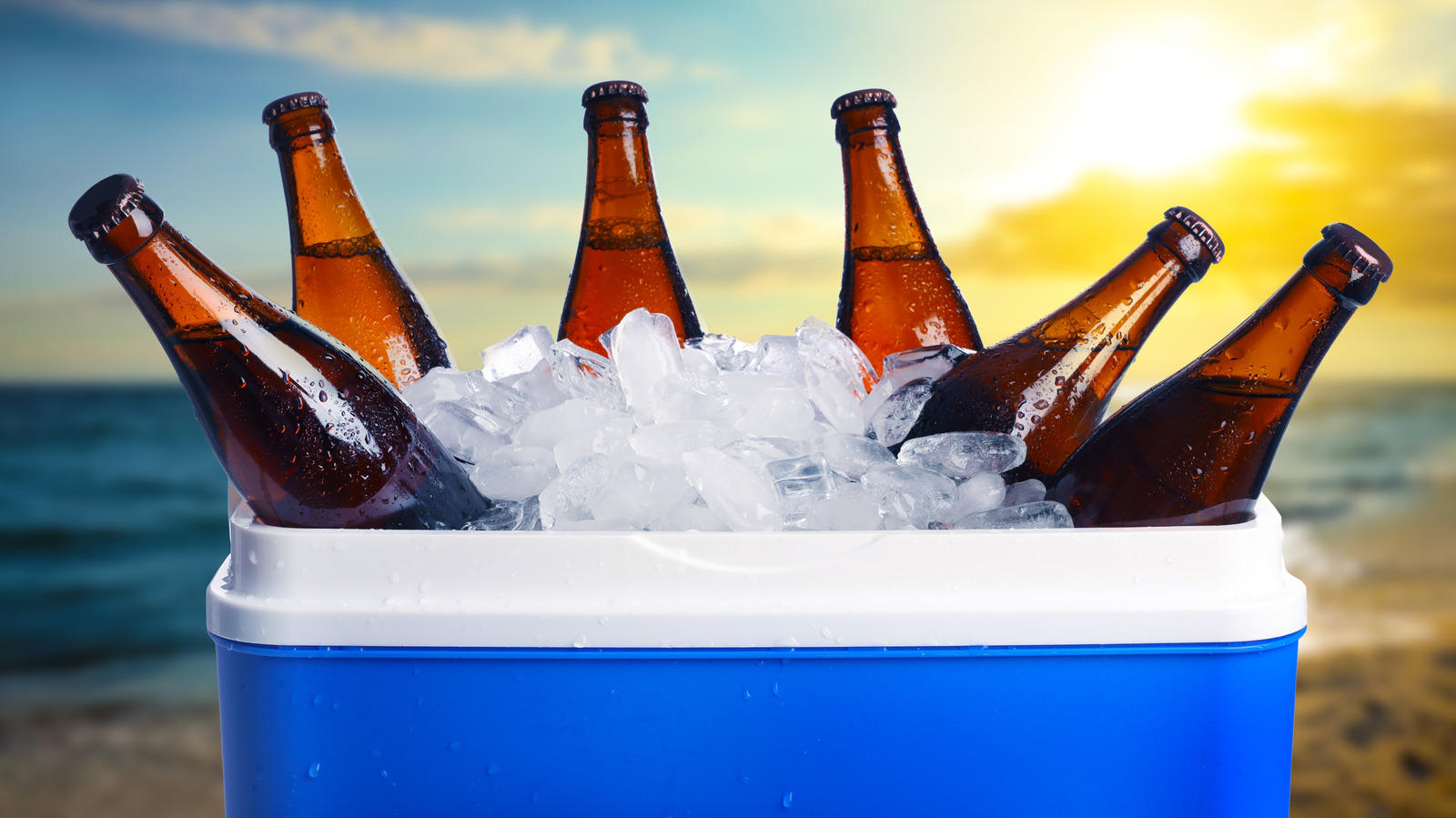 FoodWireDaily — Does Chilled Beer Need To Stay Cold?